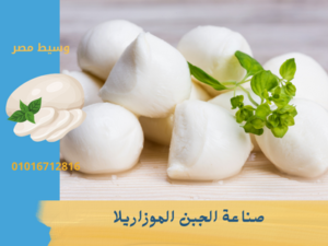 طريقة عمل الجبن الموزاريلا