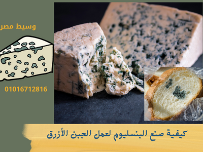 كيفية صنع البنسليوم لعمل الجبن الأزرق