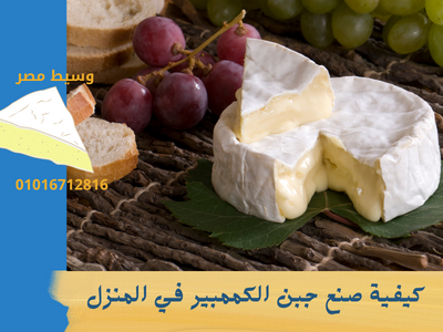 كيفية صنع جبن الكممبير في المنزل
