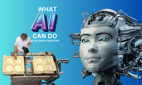 The use of artificial intelligence in the dairy industry