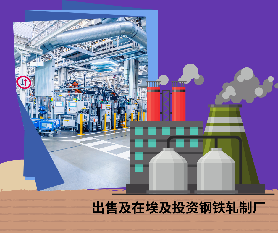 出售和投资埃及轧钢厂